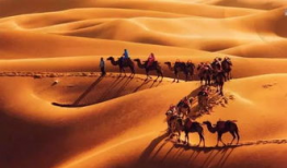 丝绸之路视频,探寻古代商贸文明的辉煌足迹