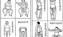 八段锦视频教学口令全套,轻松养生，健康生活新体验