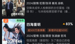 国产第一精品在线播放,第一精品在线播放盛宴